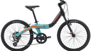 vélo enfant Orbea 2019 Grow 2