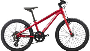 vélo enfant Orbea 2019 MX 20 Dirt