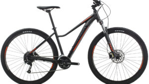 VTT Orbea 2019 MX ENT 40