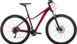 VTT Orbea 2019 MX ENT 20